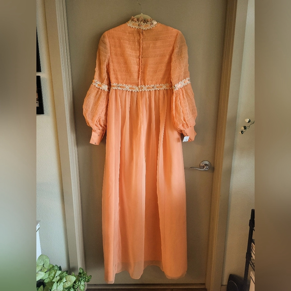 Vintage Chiffon Prairie Maxi Dress with Lace Trim - Picture 3 of 12